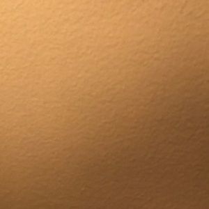 Meet your Posher, Ronan